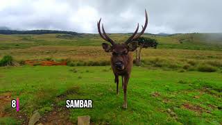 horton plains national park full tour