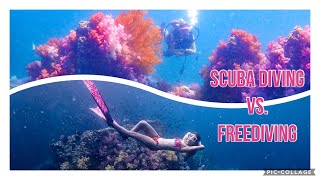 Freediving Vs. Scuba Diving เลือกอะไรดี