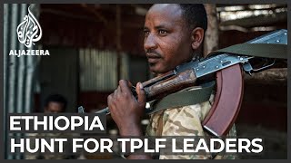 Tigray conflict: Ethiopian federal forces hunt for TPLF leaders