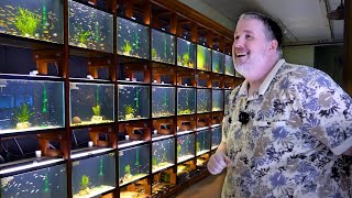 The Brutal Reality of Owning an Aquarium Store...