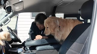 There are dogs! I'm surprised why it exists in a place like this. 【Golden Retriever Japan】