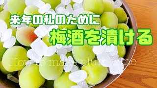 基本の梅酒の作り方【梅仕事】How to make plum wine