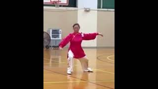 Master Sifu Tsui Ting Ying share her Martial Art Chen Style Yilu 74