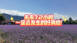 未来72小时一定会发生的好消息!(不限时空 不限关系)