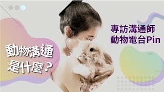 什麼是動物溝通？專訪「動物電台」