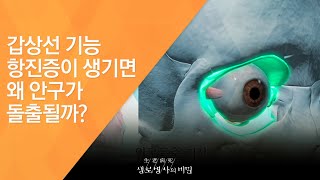 갑상선 기능 항진증이 생기면 왜 안구가 돌출될까? - (2016.3.16_575회 방송)_많아도 문제, 적어도 문제 갑상선 호르몬의 두 얼굴