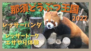 【那須どうぶつ王国】レッサーパンダ レッサートーク(字幕付き)＆エサやり体験 ジジくんとダイズちゃん