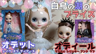 【ネオブライスとミディブライス】Wお迎え！オデットちゃんとオディールちゃん！ Blythedoll