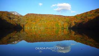 FUKEI 57834　蔦沼の朝の紅葉の水鏡