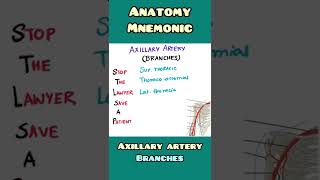 Axillary Artery : Branches - mnemonic | Anatomy | #shorts