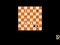 computer generated chess problem 03300