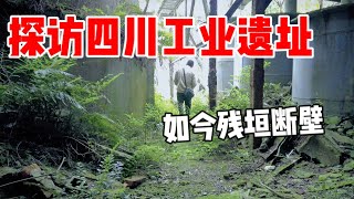 探访四川地震工业遗址，如今却残垣断壁长满藤蔓？曾经的画面历历在目！【上那去go there】