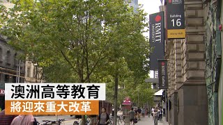 澳洲高等教育醞釀改革：貸款還款額有望消減 國際學生未被關注 | SBS中文