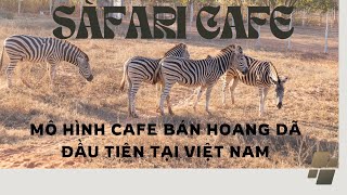 Safari Cafe Phan Thiết - mô hình cafe bán hoang dã đầu tiên tại Việt Nam