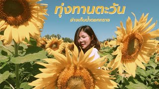 ถ่ายรูปที่ทุ่งทานตะวัน🌻, แนะนำส้มตำร้านเด็ดที่ระยองฮิ