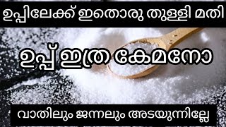 ഉപ്പിത്രയ്ക്കേമനോ/മരത്തിൻ്റെവാതിൽ ജന്നൽപിടുത്തം/ഇനിഫ്രിഡ്ജ്കേടാവില്ല #cleaninghacks@ponnu'sworld1234