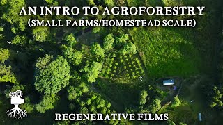The Incredible Benefits of Agroforestry on Small Farms | Introduction to Agroforestry