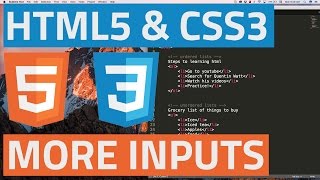 HTML5 and CSS3 beginner tutorial 39 - Other input elements