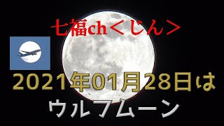 2021年01月28日はウルフムーン（オマケ：月丼動画）