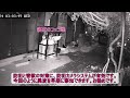 アライグマを深夜に捜索～鶏を放し飼いにする庭へ侵入の害獣を防犯カメラで発見～