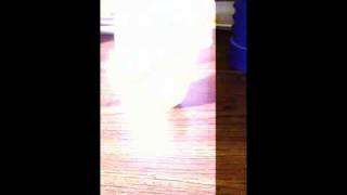 MythBuster - Standing Eggs on End Does NOT Require Equinox