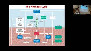 Nutrient Cycles Part 1: Nitrogen and Phosphorus