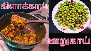 Kalakai Pickle Recipe in Tamil | கிளா | களாக்காய் ஊறுகாய் செய்முறை | களாக்காய் பயன்கள்