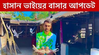 হাসান ভাইয়ের বাসার কবুতর এর আপডেট || রাজশাহী গিরিবাজ কবুতর || Hasan Pigeon Farm || in Bangladesh