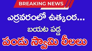 బయటపడ్డ పండు స్వామి భాగోతం | వరుస కథనాలతో వేడిఎక్కిన ఎర్రవరం | బాల నరసింహ స్వామీ దేవాలయం