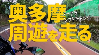 【GSX250R】奥多摩周遊道路を走る【ツーリング】