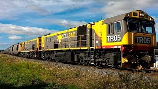 TasRail TR05 TR13 #46 Coal train Longford