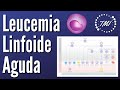 Leucemia Linfoide Aguda Explicada Claramente