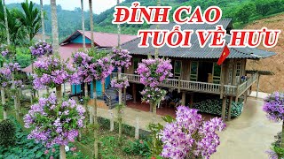 CHOÁNG NGỢP - 3 NGÔI NHÀ BAO QUANH BỞI HOA LAN ĐẸP NHƯ TRANH VẼ YÊN BÌNH ĐẾN LẠ