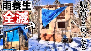 大雪の翌日に山林土地に戻ったら雨養生全滅してました…【小屋建築#19】