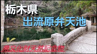 【出流原弁天池】栃木県佐野市　水がとっても綺麗でした