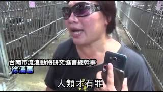 毛小孩被領養 花蓮取消安樂死--蘋果日報20150609