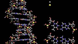 DNA | Wikipedia audio article