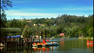 Mysore Ooty Coorg Tour Package | SOS Travel House