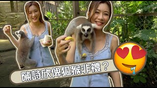 3日2夜｜陳詩欣俾狐猴非禮？｜鍾晴｜富國島｜動物園｜越南