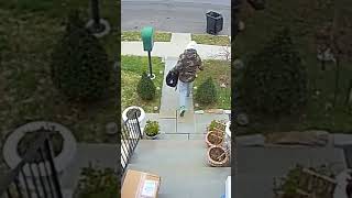 Heroic moment: Passerby takes down fleeing porch pirate #shorts #shortsviral