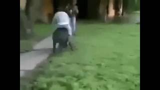 Initial D Dance Pig