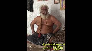 பக்தரின் உடம்பில் முனி இறங்கும் காட்சி | pandisamy arulvakku #shorts #trending #viral #arulvakku