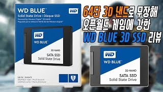 [치참TV] WD BLUE 3D NAND SSD 리뷰ㅣ오픈월드 게임에 강한 SSD