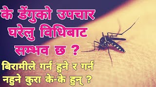 डेङ्गुको घरेलु उपचार कसरी गर्ने? बिरामीले के गर्न हुन्छ/ के हुँदैन? #डेंगु #denguefevertips #dengue