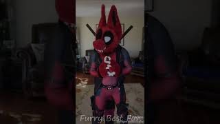 BEST Furry TikToks compilation 0417 #shorts #furrytiktok #furry #furrycompilation  #funnyvideo