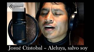 Aleluya Salvo soy – Himno Melodías Celestiales página 16 por Josué Cristóbal