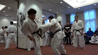 【新極真会】2018WKO昇段審査会　A2/3　SHINKYOKUSHINKAI KARATE