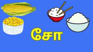 'ச ' வரிசை சொற்கள்  / Learn Tamil letters/ kindergarten kids