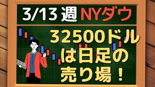 米国株 NYダウ、32500ドルは日足戻り売りポイント！~ 3/13 以降の環境認識・戦略 ~