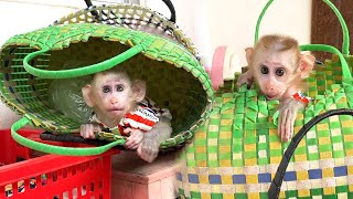 Patient Maddox Sit Still In A Shopping Basket, Waiting To Go To The Market With His Mom